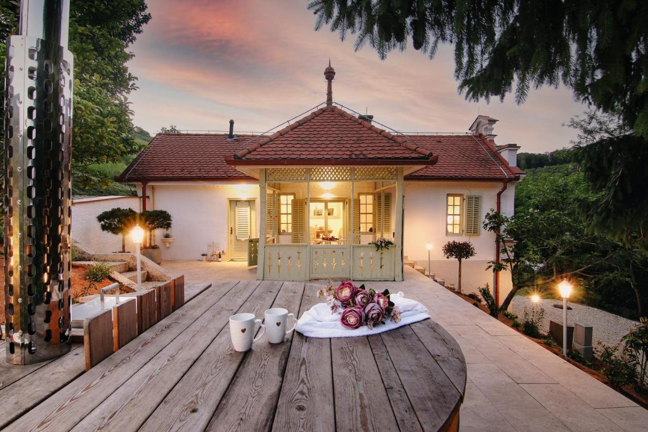 Vila Vilma Vineyard Cottage Lendava Bagian luar foto