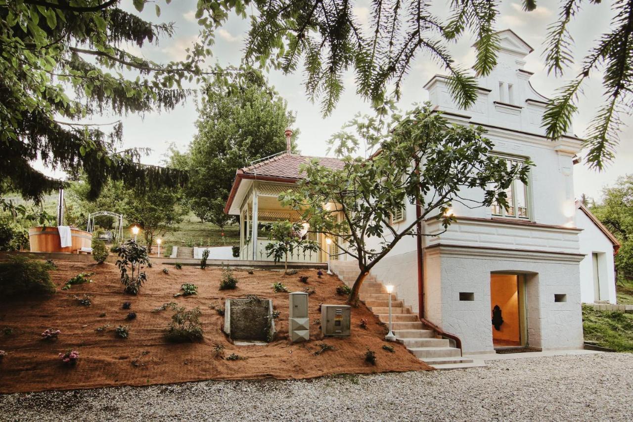 Vila Vilma Vineyard Cottage Lendava Bagian luar foto