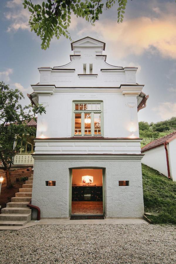 Vila Vilma Vineyard Cottage Lendava Bagian luar foto